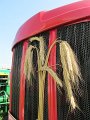 098 (2)